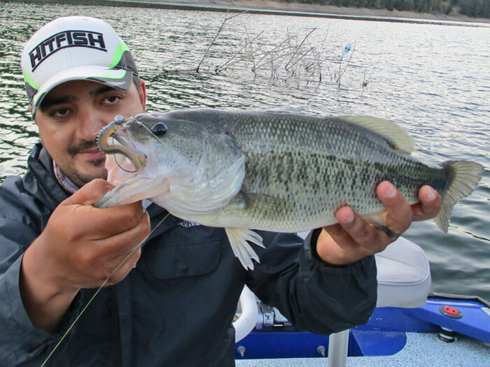 Hitfish Tukashine 8.9CM (3.5 inch) 7buc/plic - imagine 16