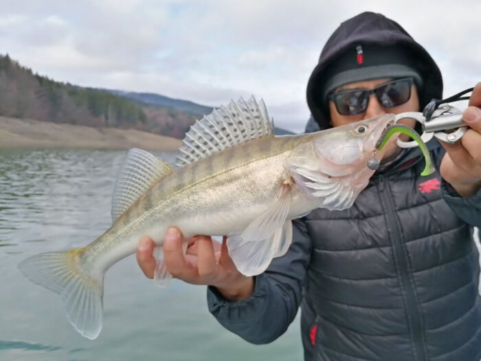 Hitfish Tukashine 8.9CM (3.5 inch) 7buc/plic - imagine 24