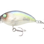 Damiki DISCO-40 4CM, 4.6gr (Floating), 311H (Natural List)