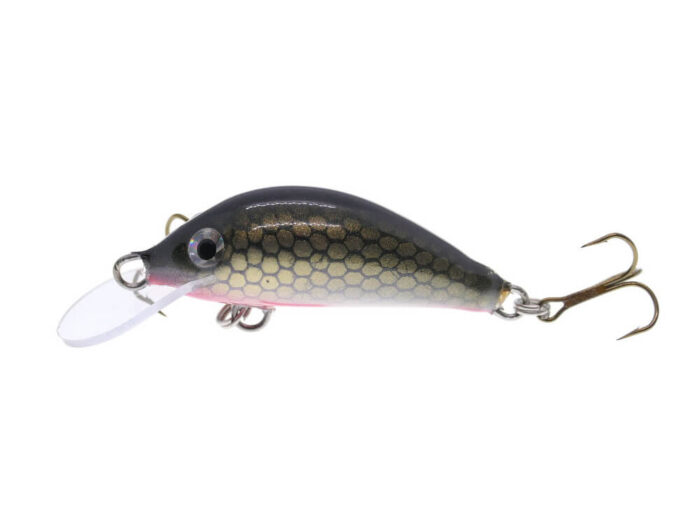 Gloog Hektor 35N, 3.5cm, 2gr (Floating), R (Roach) - imagine 2
