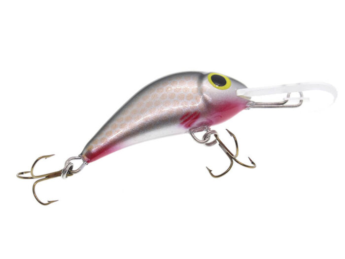 Gloog Parys 40N, 4cm, 2.5gr (Floating), NS (Natural Silver) - imagine 6