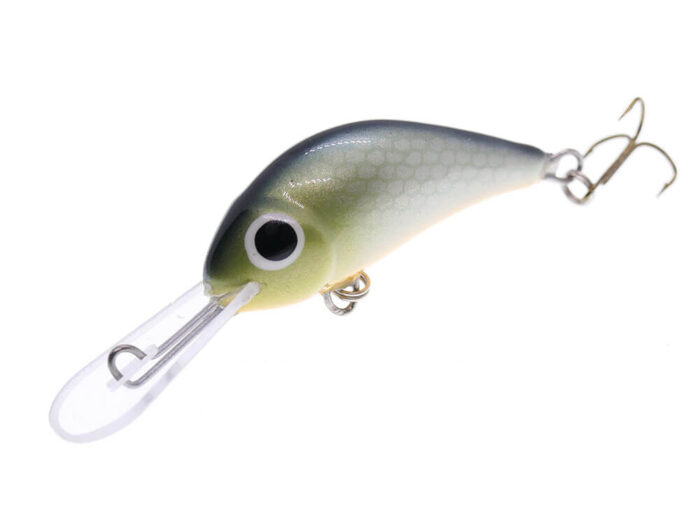 Gloog Parys 40N, 4cm, 2.5gr (Floating), RN (Roach Natural) - imagine 3