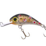 Gloog Parys 40N, 4cm, 2.5gr (Floating), TN1 (Trout Natural 1)