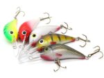 Gloog Parys 50N, 5cm, 5gr (Floating), PGF (Perch Green Fluo) - imagine 4