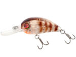 Damiki Disco Deep-38 3.8CM, 4.5gr (Floating), 369T (Devil Shrimp)