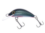 Gloog Hektor 35N, 3.5cm, 2gr (Floating), RT (Roach Teal)