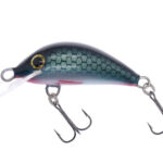 Gloog Hektor 35N, 3.5cm, 2gr (Floating), RT (Roach Teal)