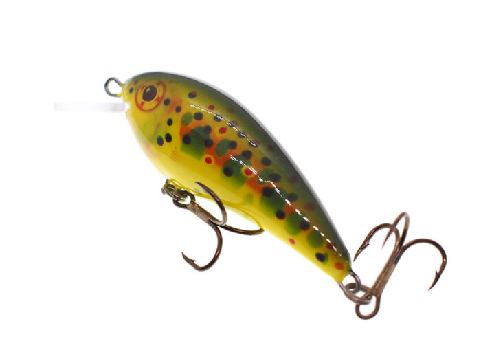 Vidra Lures Perpetual MR 6cm, 10gr, Floating, FTR (Fluo Trout) - imagine 3