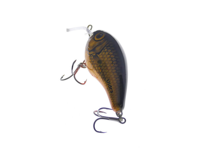 Vidra Lures Nautilus SR (Shallow Runer) 6cm, 16gr, Floating, GLH (Gold Holo) - imagine 6